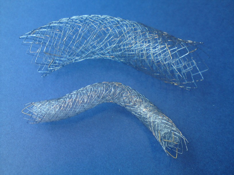 Figure 1a: Double covered 10mm biliary and double bare 24mm enteral stent. Note the excellent three-dimensional conformability.