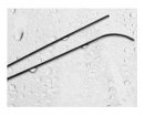 Cook Medical HiWire Hydrophilic Guide Wire | Used in Angioplasty, Embolisation | Which Medical Device