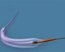 Abbott Vascular Trek Balloon | Which Medical Device