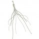 gunther-tulip-ivc-filter.jpg