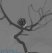LICA Aneurysm coiling