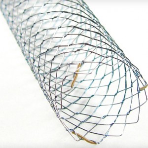 EGIS Stent