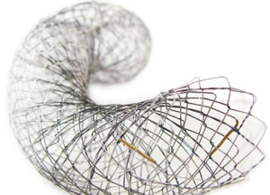 EGIS biliary stent
