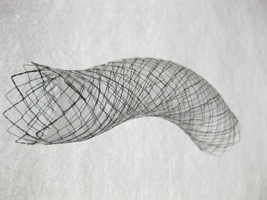 EGIS Stent