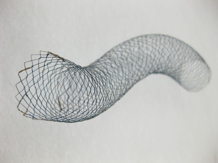EGIS Stent