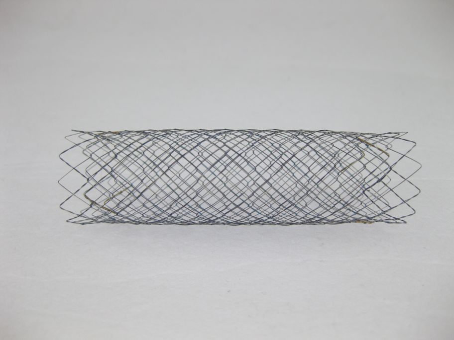 EGIS Stent