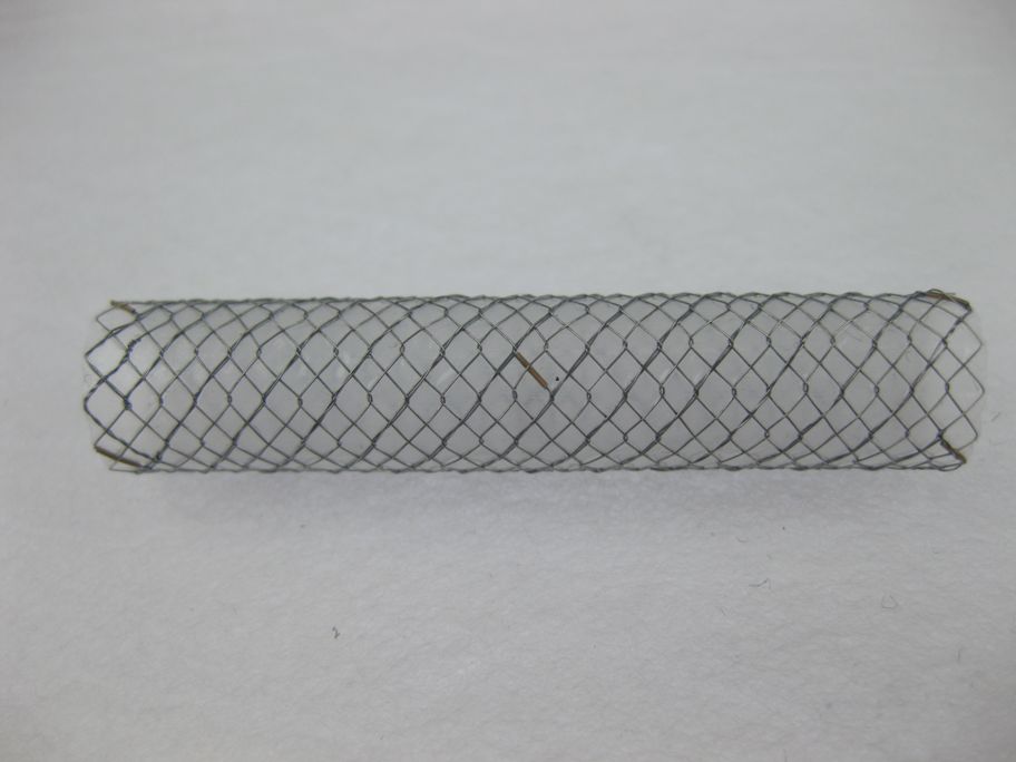 EGIS Stent