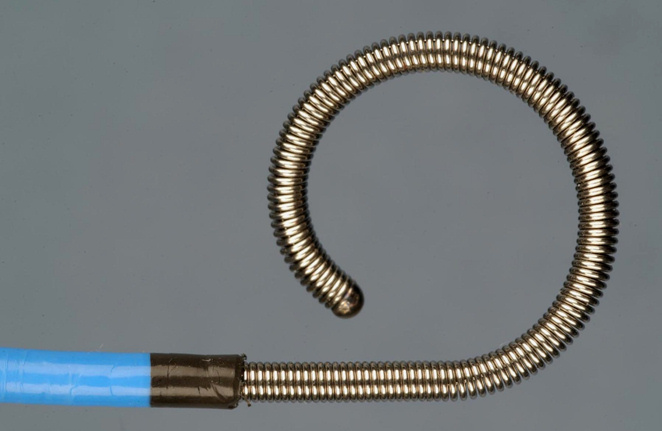 The stent protruding through the introducer sheath.