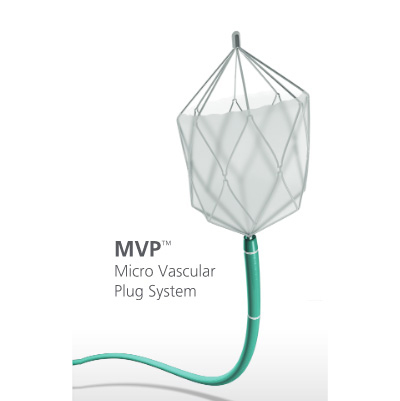 microvascular plug