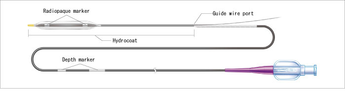 Hiryu PTCA non-compliant balloon catheter