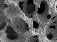 Tritanium: image from Stryker