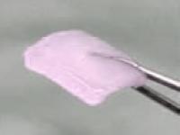Neocart, image from Histiogenics