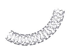 Biosensors International BioMatrix Flex drug-eluting stent | Used in Coronary stenting, Percutaneous coronary intervention (PCI)  | Which Medical Device