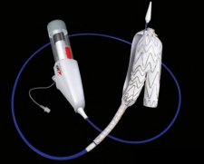 Gore C3 EXCLUDER AAA Endoprosthesis | Used in Endovascular aneurysm repair (EVAR), Vascular stenting  | Which Medical Device