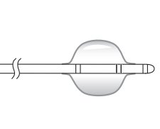 MicroVention Terumo Scepter C Compliant Occlusion Balloon Catheter | Which Medical Device