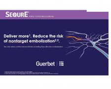 Guerbet SeQure reflux control microcatheter | Which Medical Device