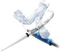 Medtronic Talent Aortic Stent Graft System | Used in Endovascular aneurysm repair (EVAR), Vascular stenting | Which Medical Device