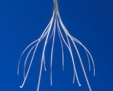 Cook Medical Celect Vena Cava Filter | Used in IVC filter  | Which Medical Device