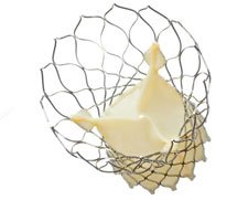 Medtronic CoreValve | Used in Transcatheter aortic valve implantation (TAVI) | Which Medical Device