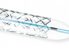 Orbus Neich Blazer Cobalt Chromium Stent | Which Medical Device