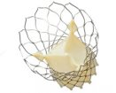 Medtronic CoreValve | Used in Transcatheter aortic valve implantation (TAVI) | Which Medical Device