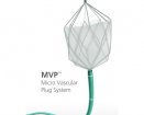mvp1.jpg