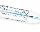 Orbus Neich Blazer Cobalt Chromium Stent | Which Medical Device