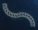 Terumo Ultimaster Coronary Stent System | Used in Coronary stenting | Which Medical Device